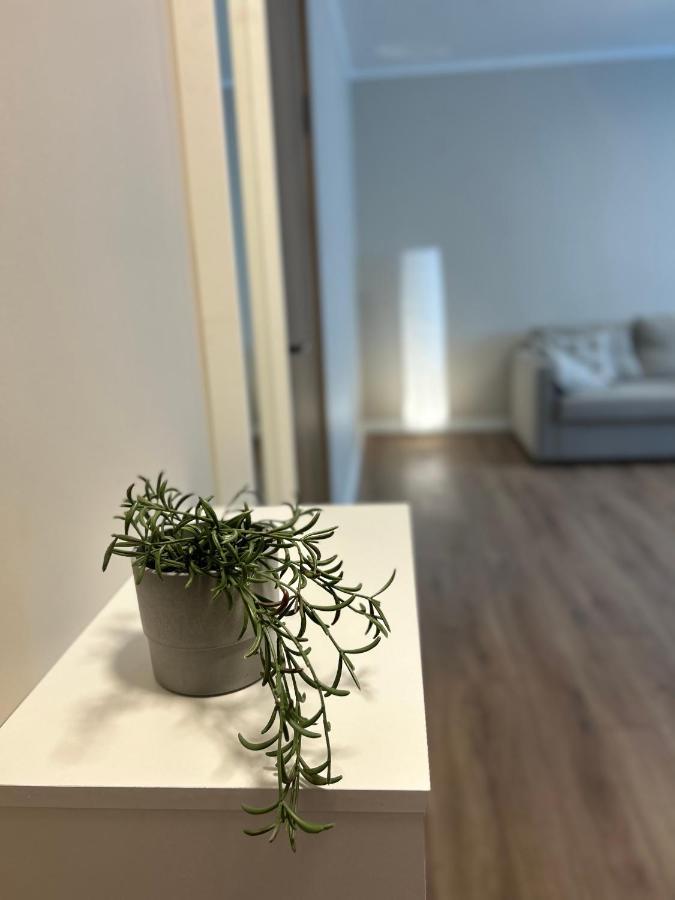 Skandi Appartments In Saldus City Center Eksteriør bilde