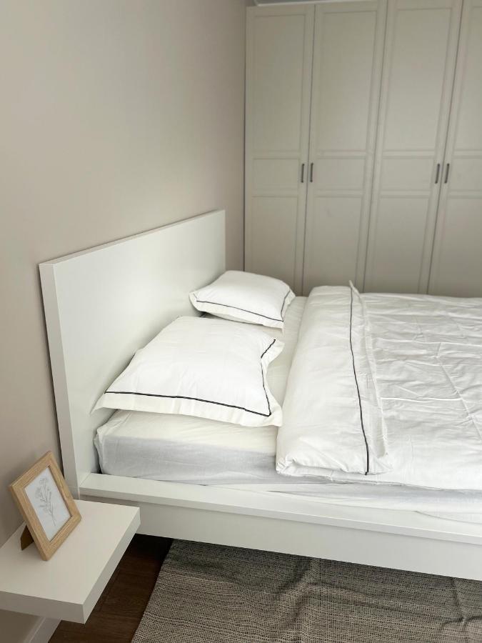 Skandi Appartments In Saldus City Center Eksteriør bilde