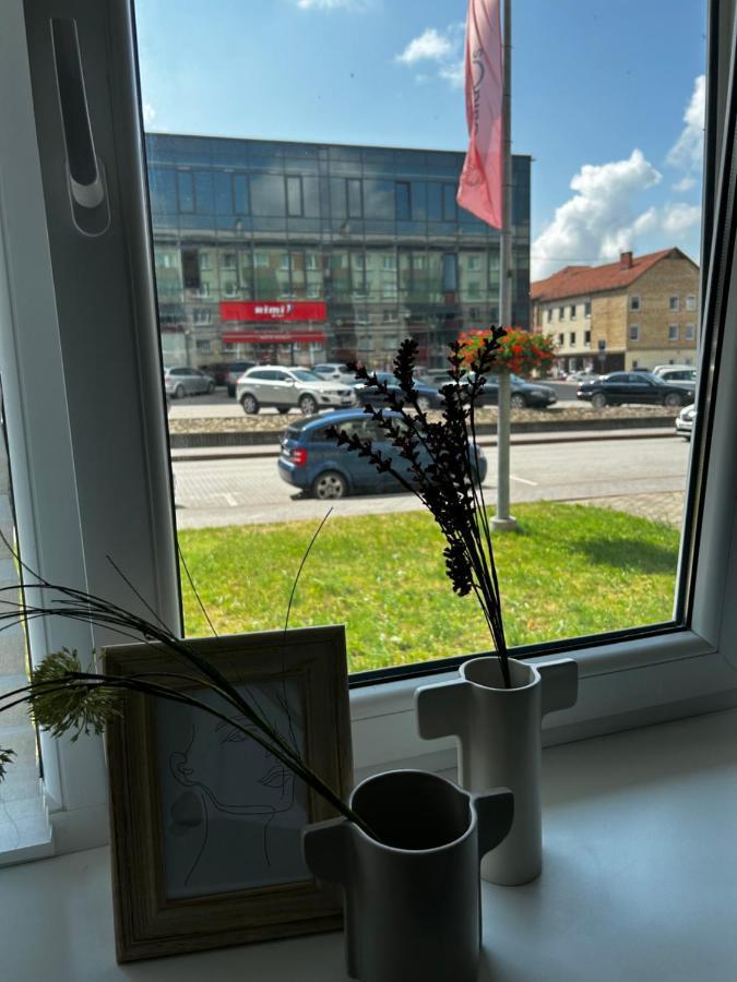 Skandi Appartments In Saldus City Center Eksteriør bilde